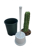 Load image into Gallery viewer, Potty Plants Cactus cover hide toilet bowl scrub brush crafted near the Saguaro National Park.
