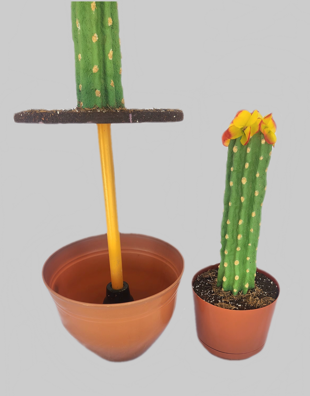 Cactus fun bathroom decor housewarming gift hide toilet plunger & scrub brush