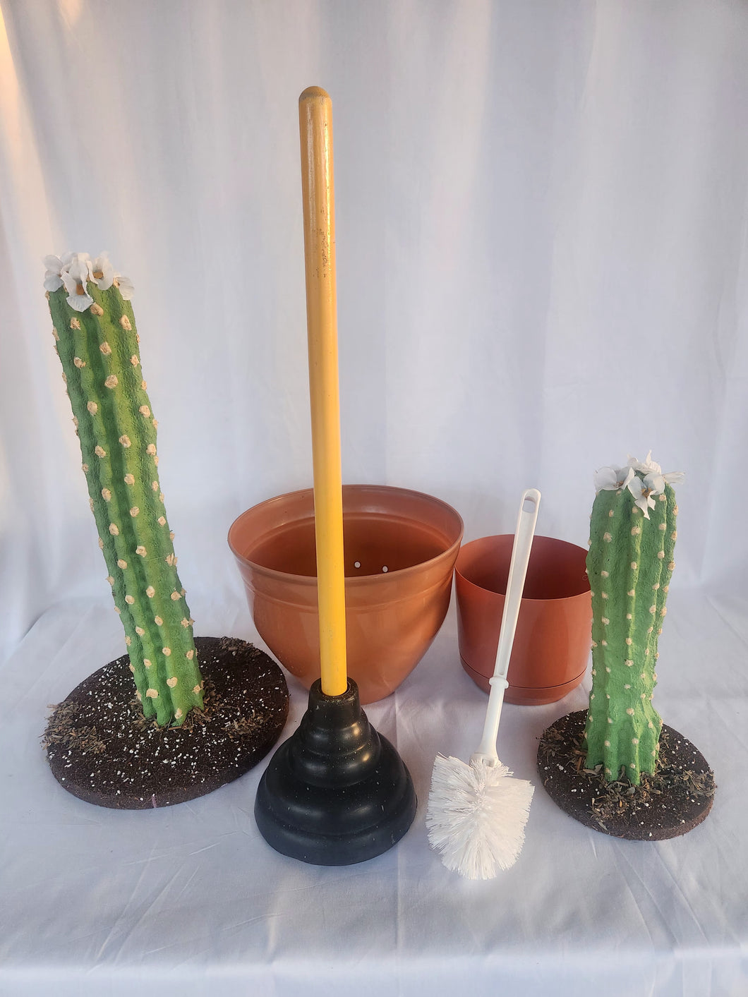 Saguaro Cactus set conceal bathroom toilet cleaning tools hide in plants Saguaro National Park lovers