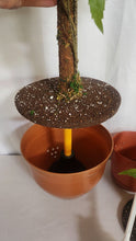 Load image into Gallery viewer, Fun bathroom decoration for toilet plunger and scrub brush container cover looks like potted plants
