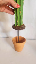 Load image into Gallery viewer, Back scratcher in cactus container Southwest desert decor
