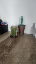 Load image into Gallery viewer, SuccuLINT™ Lint Roller Cover Faux Rare Succulent Cactus Container
