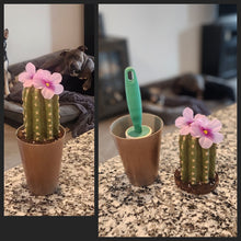 Load image into Gallery viewer, SuccuLINT™ Lint Roller Cover Faux Rare Succulent Cactus Container
