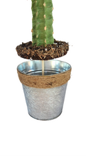 Load image into Gallery viewer, Cactus safe stash hide key organize hidden compartment decorative container
