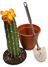 Load image into Gallery viewer, Decorative Cactus cover for hiding toilet bowl scrub brush
