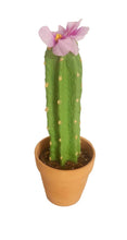 Load image into Gallery viewer, Back scratcher in cactus container Southwest desert decor
