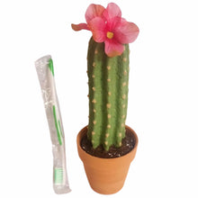 Load image into Gallery viewer, Southwest Cactus Toothbrush Holder Cover for Bathroom or Office Decor, Conceal Envelope Opener, Vape Pen, Nail File,  Desk Set Pen and Paper Clips  by Top Secret Plants®
