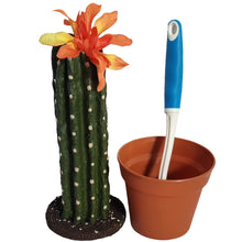 Load image into Gallery viewer, Kitchen cactus dishes washing scrub brush cover scrubber keeper
