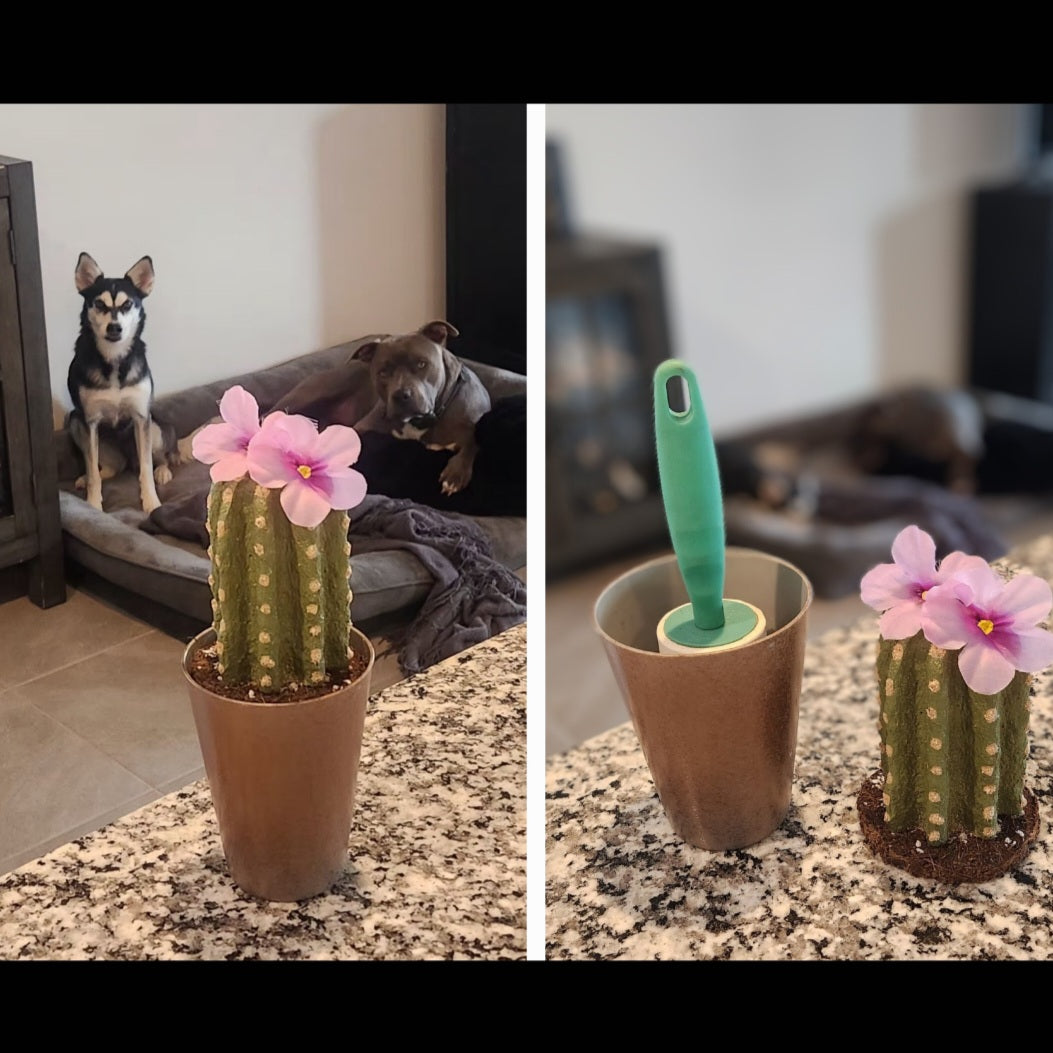 SuccuLINT™ Lint Roller Cover Faux Rare Succulent Cactus Container