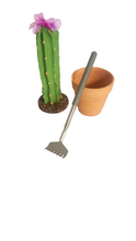 Load image into Gallery viewer, Back scratcher in cactus container Southwest desert decor
