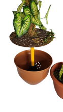 Load image into Gallery viewer, Arrowhead plant bathroom decoration plunger and toilet scrubber brush covers containers look like houseplants POTTY PLANTS
