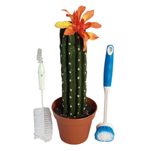 Load image into Gallery viewer, Kitchen cactus dishes washing scrub brush cover scrubber keeper
