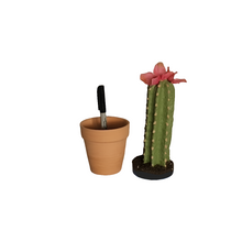 Load image into Gallery viewer, Secret Succulent Cactus Desk Decor Hides Pen Highlighter Sharpie Nail File Toothbrush Envelope Opener Keys Office Organization
