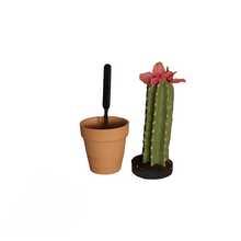 Load image into Gallery viewer, Secret Succulent Cactus Desk Decor Hides Pen Highlighter Sharpie Nail File Toothbrush Envelope Opener Keys Office Organization
