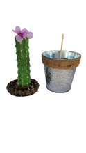 Load image into Gallery viewer, Cactus safe stash hide key organize hidden compartment decorative container
