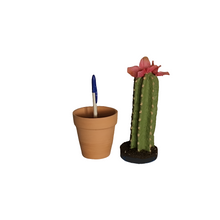 Load image into Gallery viewer, Secret Succulent Cactus Desk Decor Hides Pen Highlighter Sharpie Nail File Toothbrush Envelope Opener Keys Office Organization
