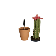 Load image into Gallery viewer, Secret Succulent Cactus Desk Decor Hides Pen Highlighter Sharpie Nail File Toothbrush Envelope Opener Keys Office Organization
