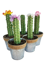 Load image into Gallery viewer, Cactus safe stash hide key organize hidden compartment decorative container
