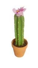 Load image into Gallery viewer, Cactus Toothbrush Cover Holder Container Southwest Bathroom Decor
