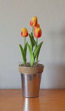 Load and play video in Gallery viewer, Top Secret Tulips hide candy valuables organize desk clutter send flowers
