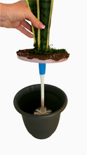 Load image into Gallery viewer, Snake Plant Brush Holder For Hiding Toilet Scrub Brush Cleaning Tool
