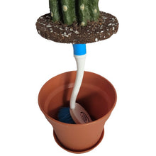 Load image into Gallery viewer, Kitchen cactus dishes washing scrub brush cover scrubber keeper
