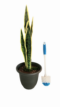 Load image into Gallery viewer, Snake Plant Brush Holder For Hiding Toilet Scrub Brush Cleaning Tool
